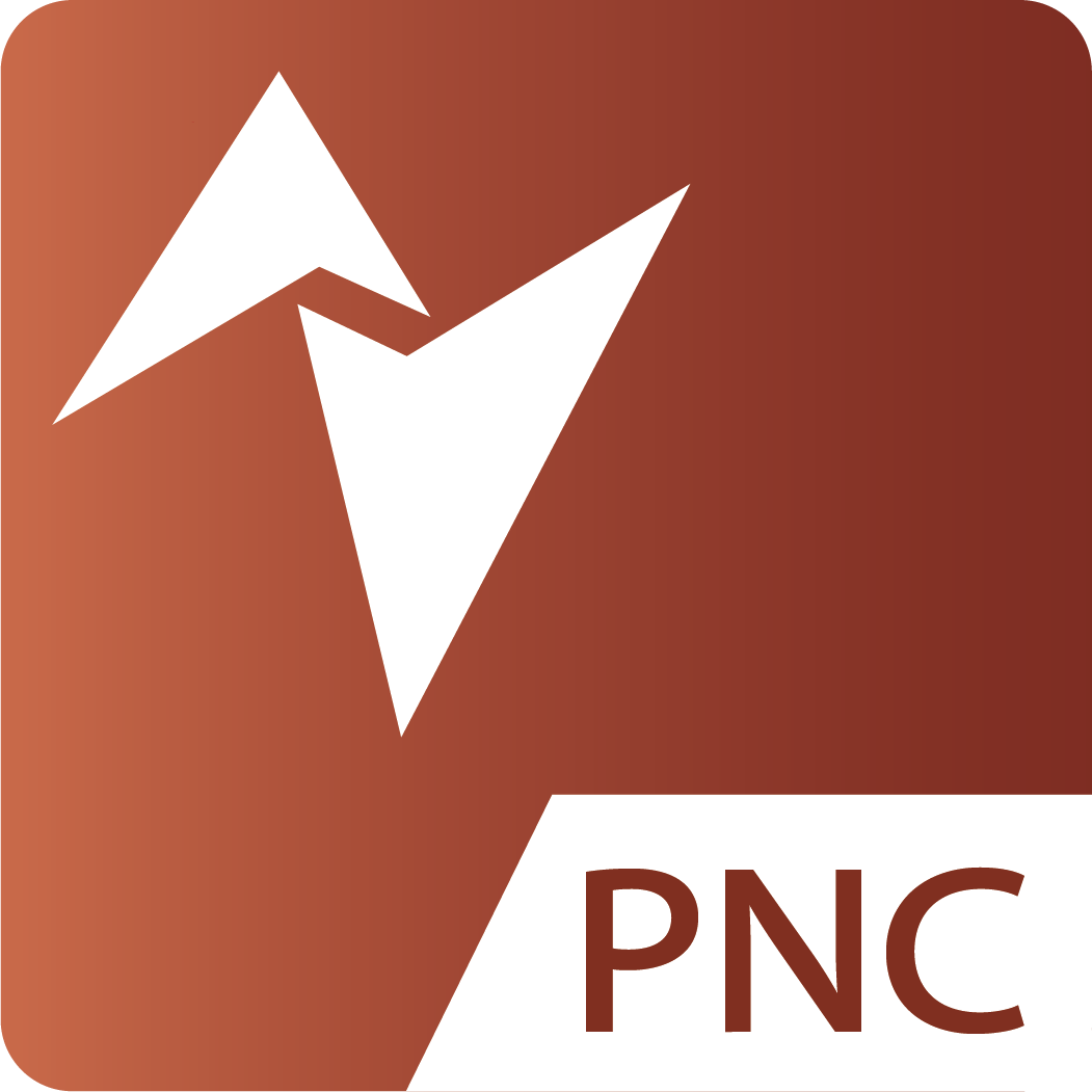 Sicam PUNCH logo