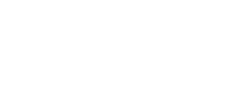 NestSoft Manufacturing Software Solutions Logo White